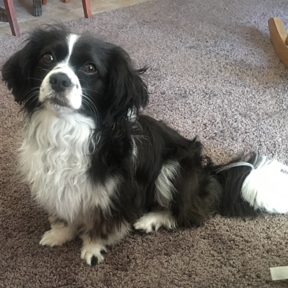 Meet your Posher, Araseli